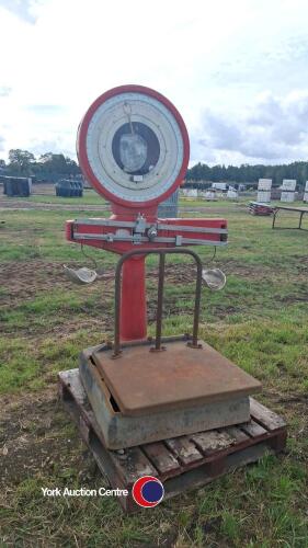 Avery weigh scale up to 250kg