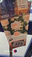 Standard rose Sirius - 2