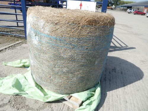 32 x large round bales of this year's haylage, collect from YO32 2RH