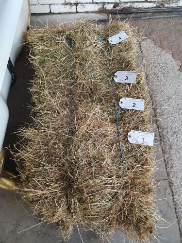 25 x small bales of hay, this season. Collect from YO30 2AS