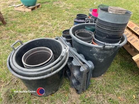 Plant pots, various sizes