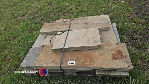 Pallet of stone flags/copings