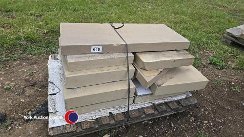 Pallet of stone flags/copings