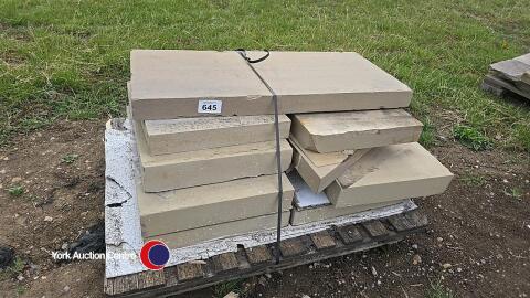 Pallet of stone flags/copings