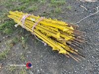 Electric stakes - 2