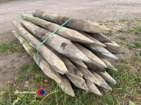 25 x stakes - 4