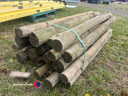 25 x 4in stakes