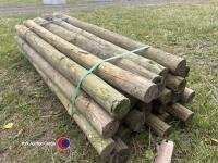 25 x 4in stakes - 2