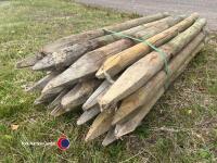 25 x 4in stakes - 3