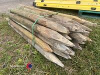 25 x 4in stakes - 4