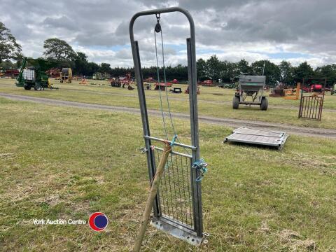 Galvanised sheep guillotine gate, gwo