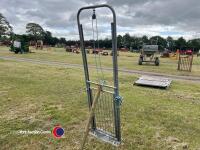 Galvanised sheep guillotine gate, gwo