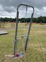 Galvanised sheep guillotine gate, gwo - 2