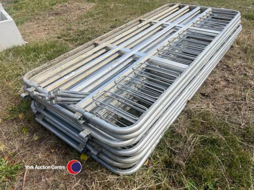 10 x sheep hurdles with pins