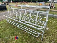 2 x calf bucket rearing trays