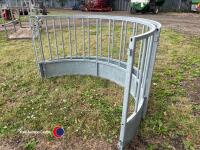 Sheep ring feeder - 2