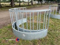 Sheep ring feeder - 4