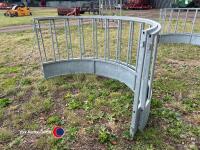 Sheep ring feeder - 3