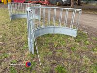 Sheep ring feeder - 4