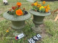 Pair of flower urns