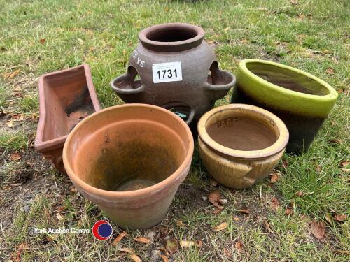 Strawberry planter plus various plant pots
