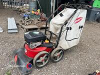Petrol leaf collector
