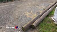 2 x electricity poles - 3