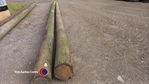 2 x electricity poles