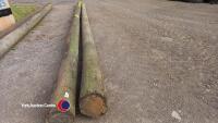 2 x electricity poles