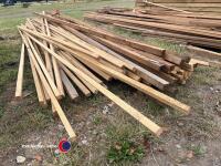 Mixed Timber