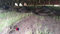 Lely Splendimo 320 MC mower conditioner, 2012 - 3