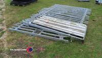 Pair of glav security gates