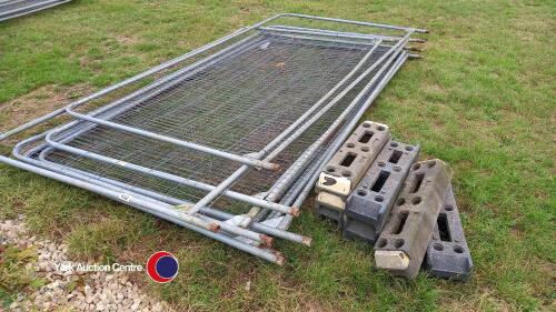 Heras fence panels with feet, 8 panels
