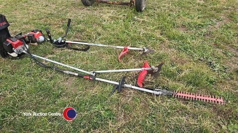 Long reach strimmer
