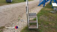Set of stainless steel steps with handrail, 600 x 550, 3 steps, top step 600mm - 2