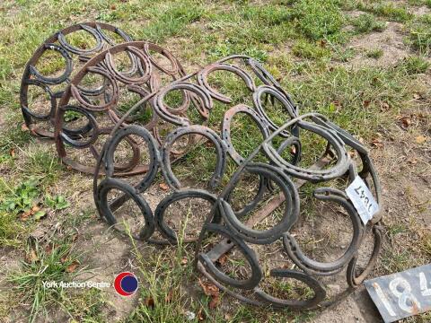 Garden horse shoe hanging baskets