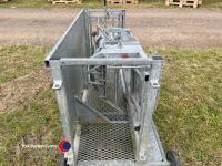 Bateman sheep turnover crate - 4