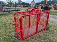 Lamb weigh - 3