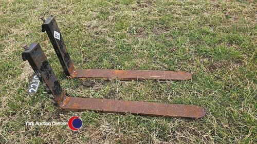 Forklift tines