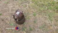 Ferguson pto pulley - 2