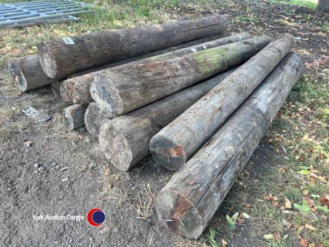 Quantity of strailer fencing posts