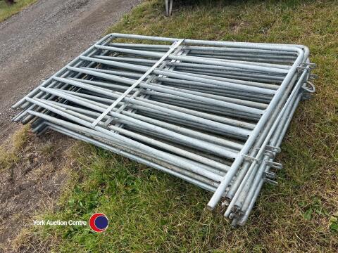 10 x 5ft metal sheep bars