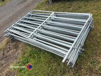 10 x 5ft metal sheep bars