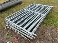 10 x 5ft metal sheep bars - 2