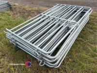 10 x 5ft metal sheep bars - 4