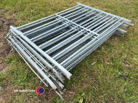 10 x 4ft metal sheep bars