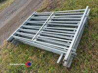 10 x 4ft metal sheep bars - 4