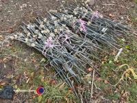 100 galvanised electric fence stakes including insulators - 2