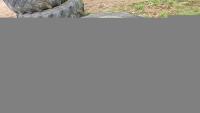 Stocks dual wheels 14.9-28, no clamps - 2