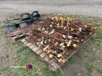 Ridley wrapper fencing - 3